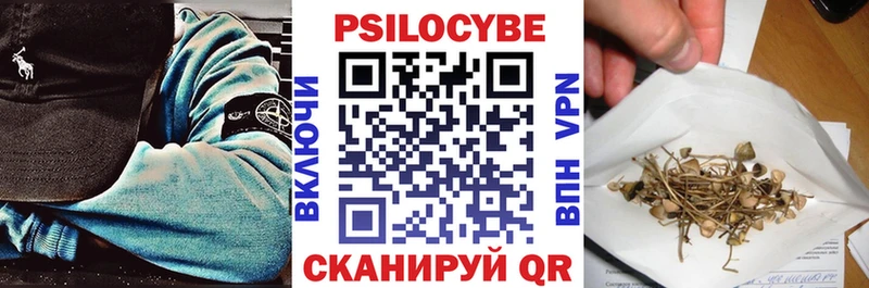 дарнет шоп  Ардатов  Псилоцибиновые грибы ЛСД 